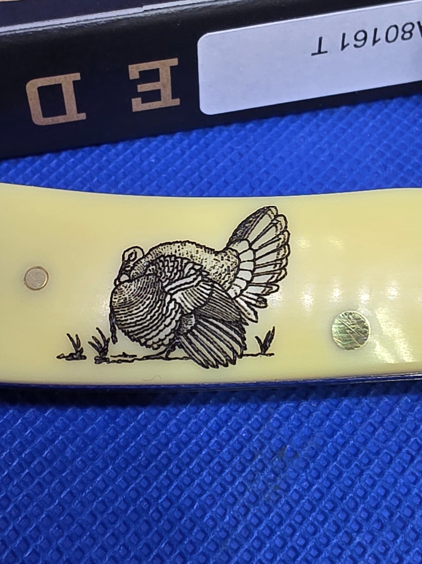 2025 Case XX Yellow Trapper with Turkey 80161 T SFO