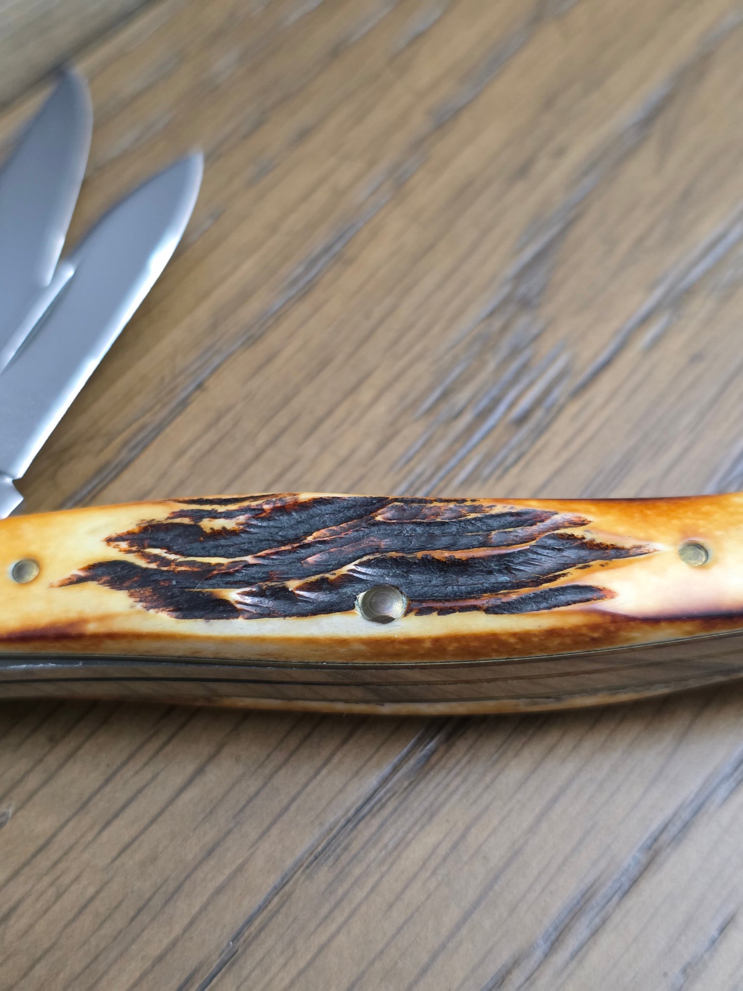 1984 Case XX 62032 Texas Jack Genuine Stag Handles