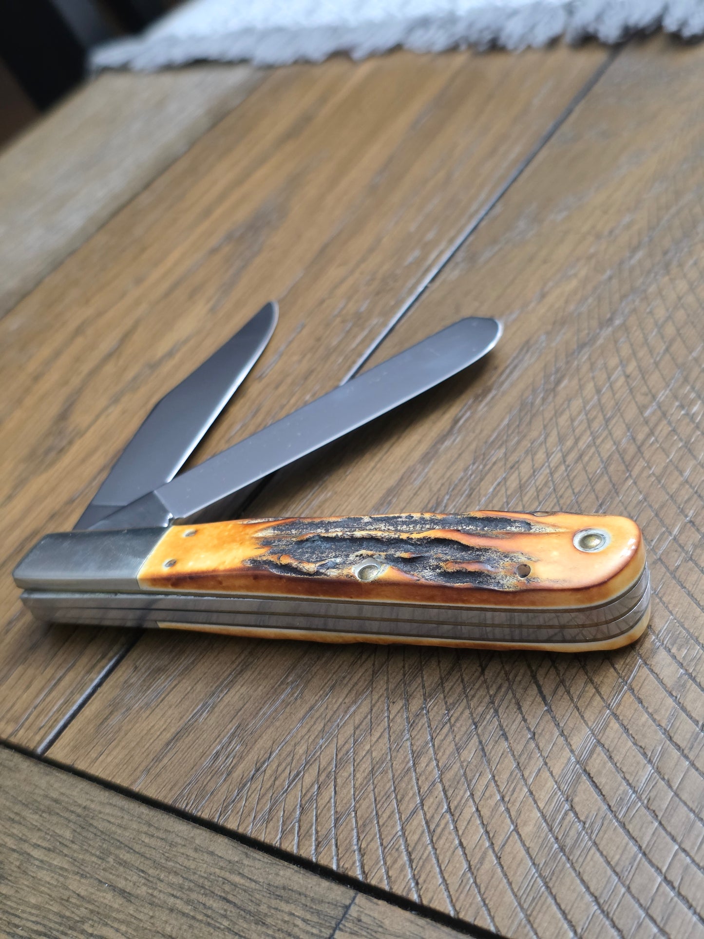 1988 Case XX Stag Case Collector's Club Daddy Barlow Knife Mint