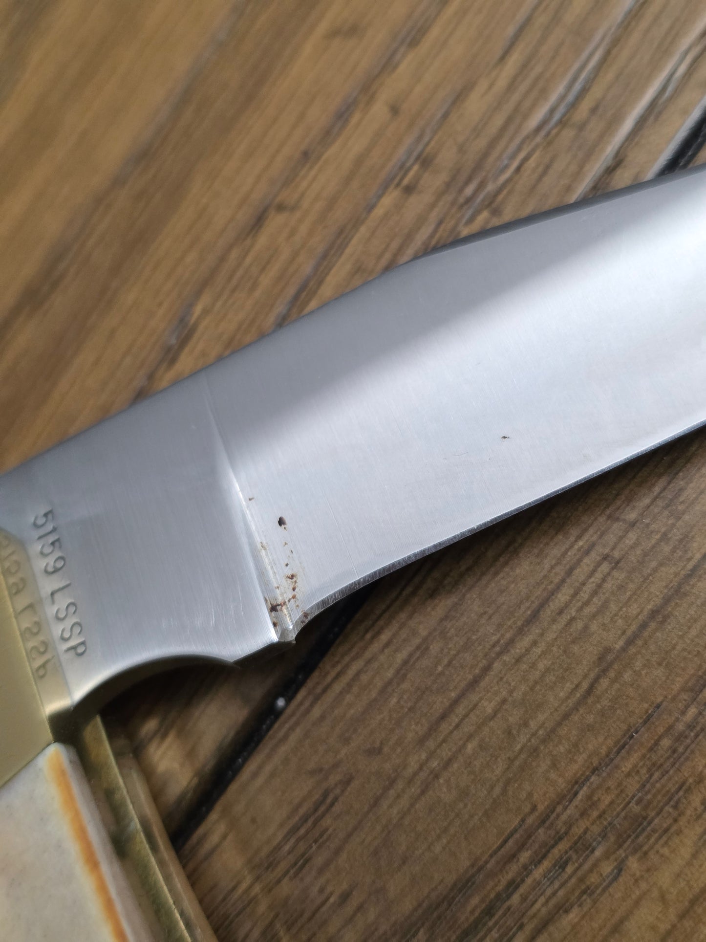 1981 Case XX Stag Handle Hammerhead Lockback - NO SHEATH