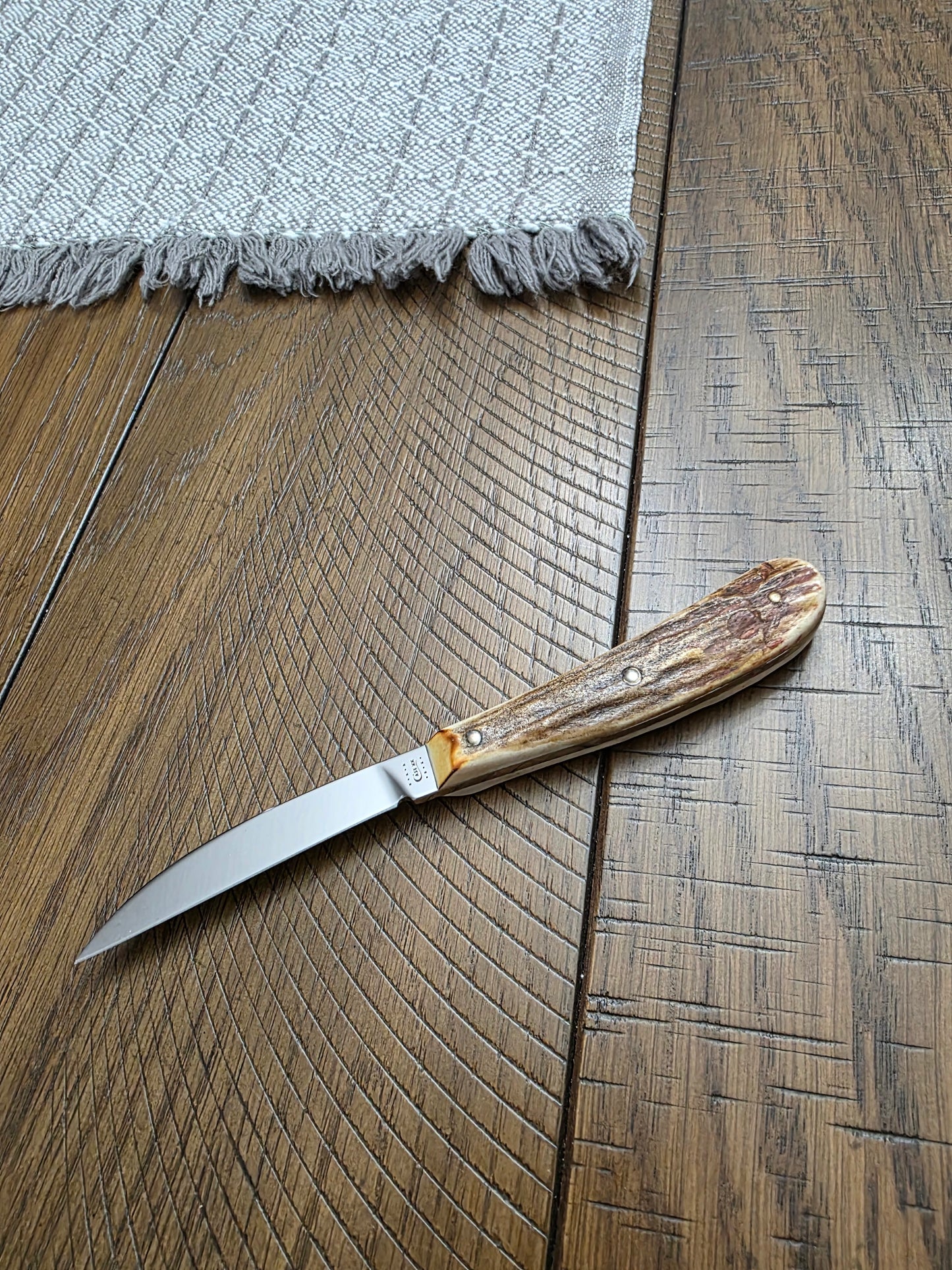 2010 Case XX Stag Desk Knife 517-3 154CM No Box No Sheath