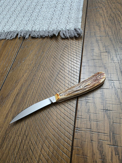 2010 Case XX Stag Desk Knife 517-3 154CM No Box No Sheath