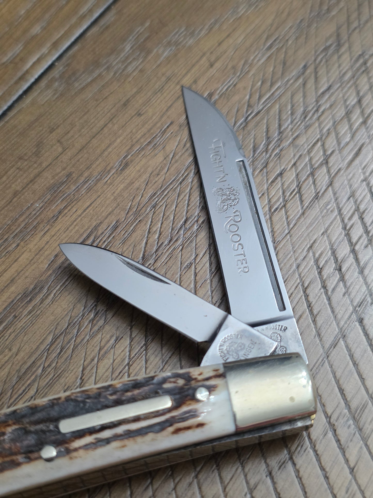 Fight N' Rooster - 2 Blade Congress with Stag Handles - Frank's Celebrated