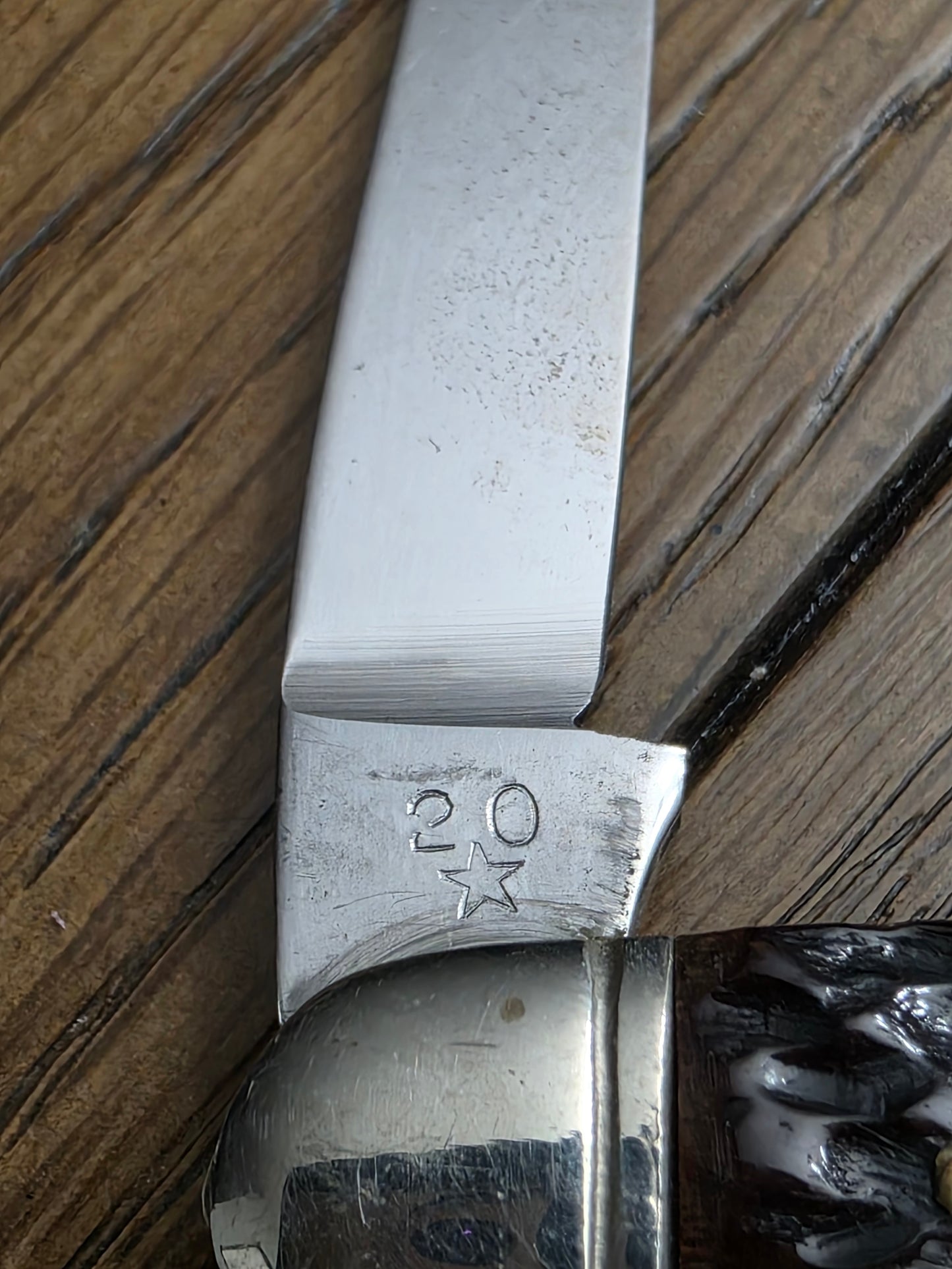 John Primble Belknap Bone Handle Muskrat with Etch - Unused