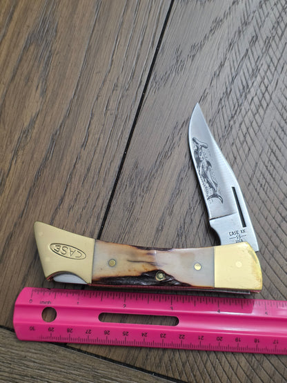 1981 Case XX Stag Handle Hammerhead Lockback - NO SHEATH