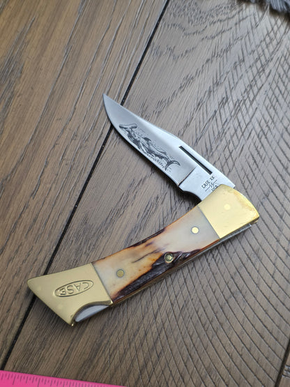 1981 Case XX Stag Handle Hammerhead Lockback - NO SHEATH