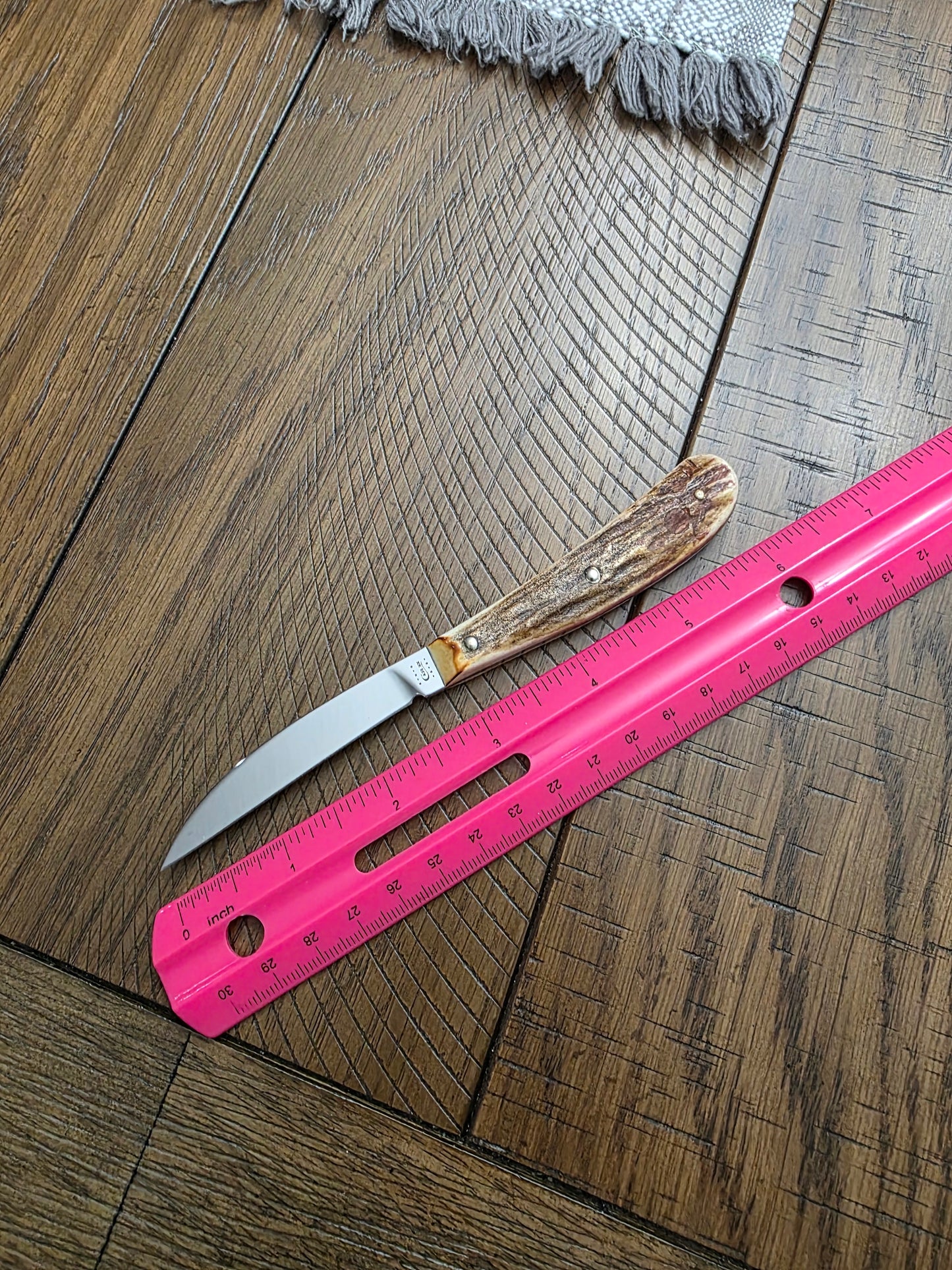 2010 Case XX Stag Desk Knife 517-3 154CM No Box No Sheath