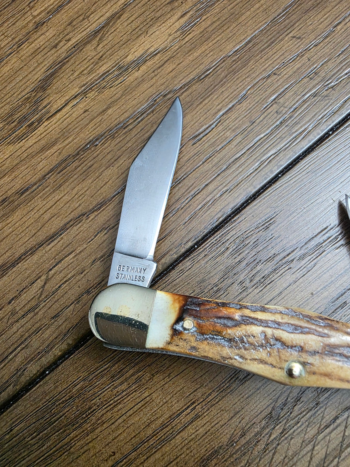 Buck Creek Stag Whittler 3 Blade unused VERY NICE!