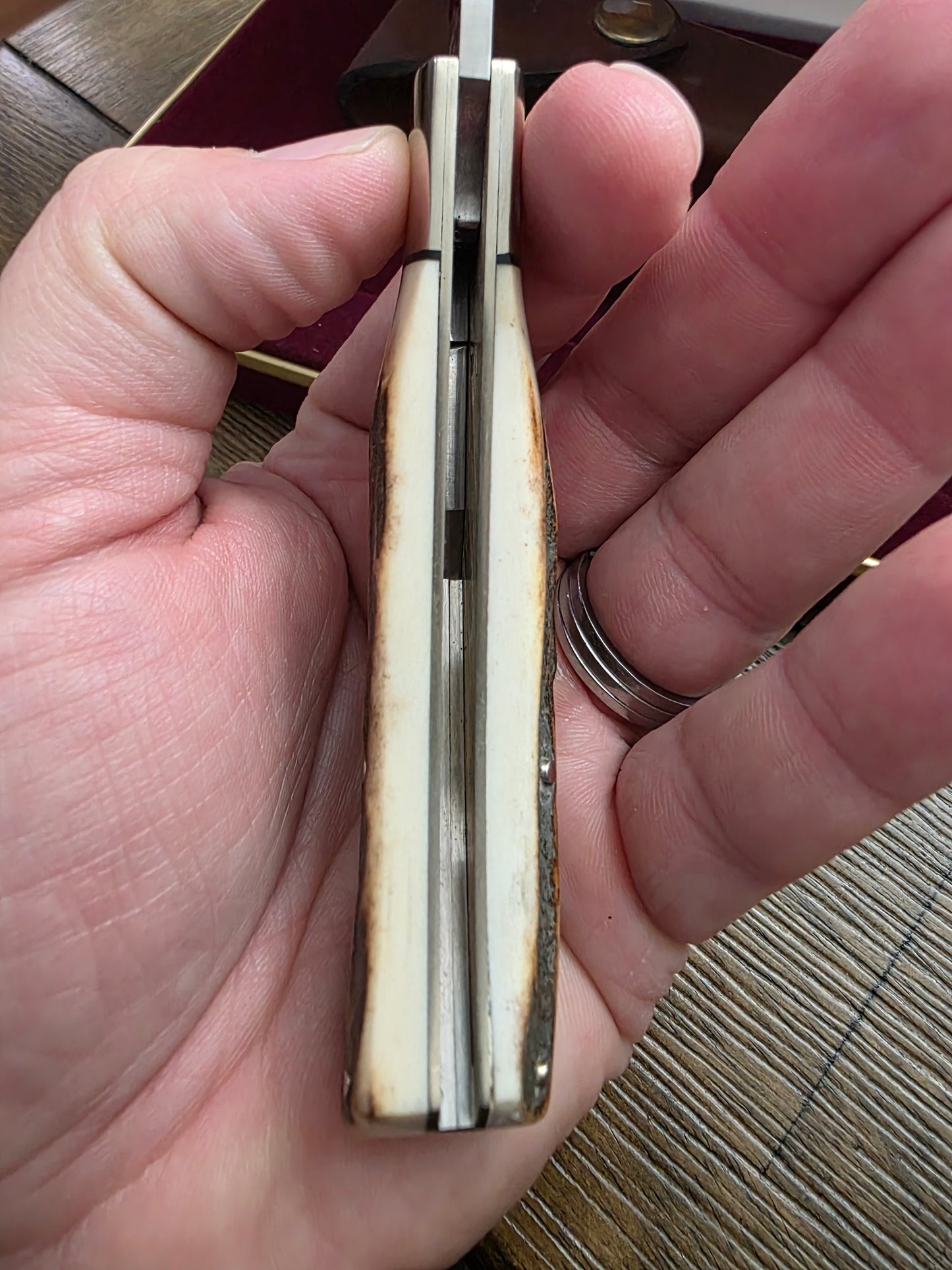 Browning Stag Lockback Knife with Sheath in Display